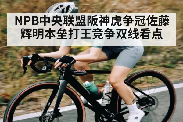 NPB中央联盟阪神虎争冠佐藤辉明本垒打王竞争双线看点